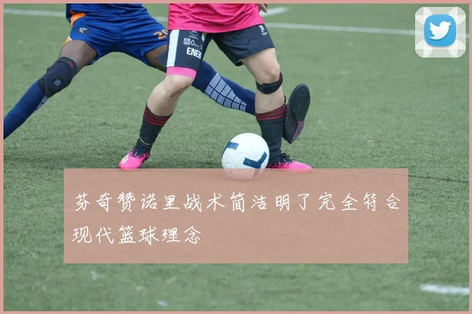 芬奇赞诺里战术简洁明了完全符合现代篮球理念