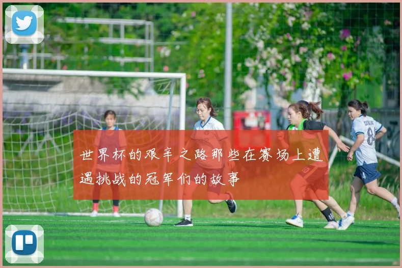 世界杯的艰辛之路那些在赛场上遭遇挑战的冠军们的故事
